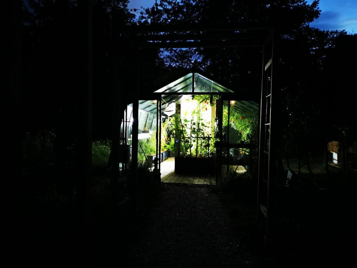 La Maison Des Oiseaux. Roulotte Achicourt Eksteriør billede